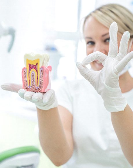 A dentist holding a mock tooth model while making the okay sign