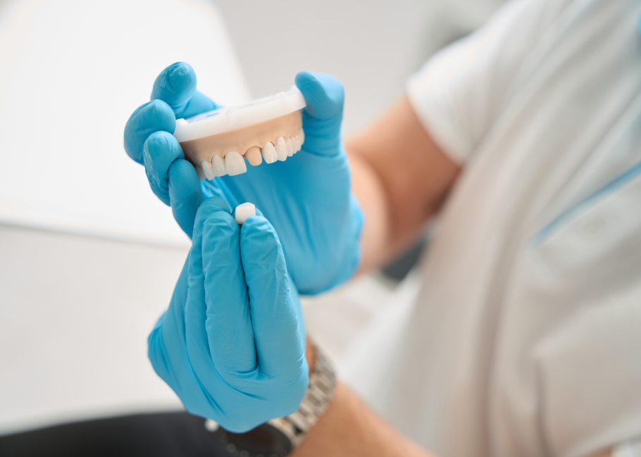 Dentist holding dental crown model